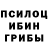 Псилоцибиновые грибы мицелий Yurets _
