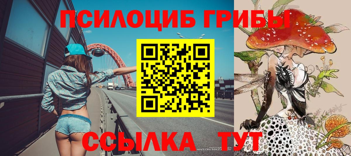 Псилоцибиновые грибы прущие грибы Дубна